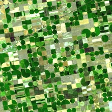 Aerial view of crops in Kansas